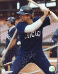 AUTOGRAPHED  RON BLOMBERG 8X10 Chicago White Sox Photo