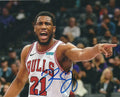 AUTOGRAPHED THADDEUS YOUNG 8X10 Chicago Bulls photo