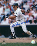 AUTOGRAPHED WAYNE TOLLESON 8x10 New York Yankees photo