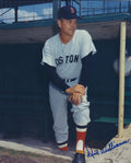 Autographed DICK WILLIAMS 8x10 Boston Red Sox Photo