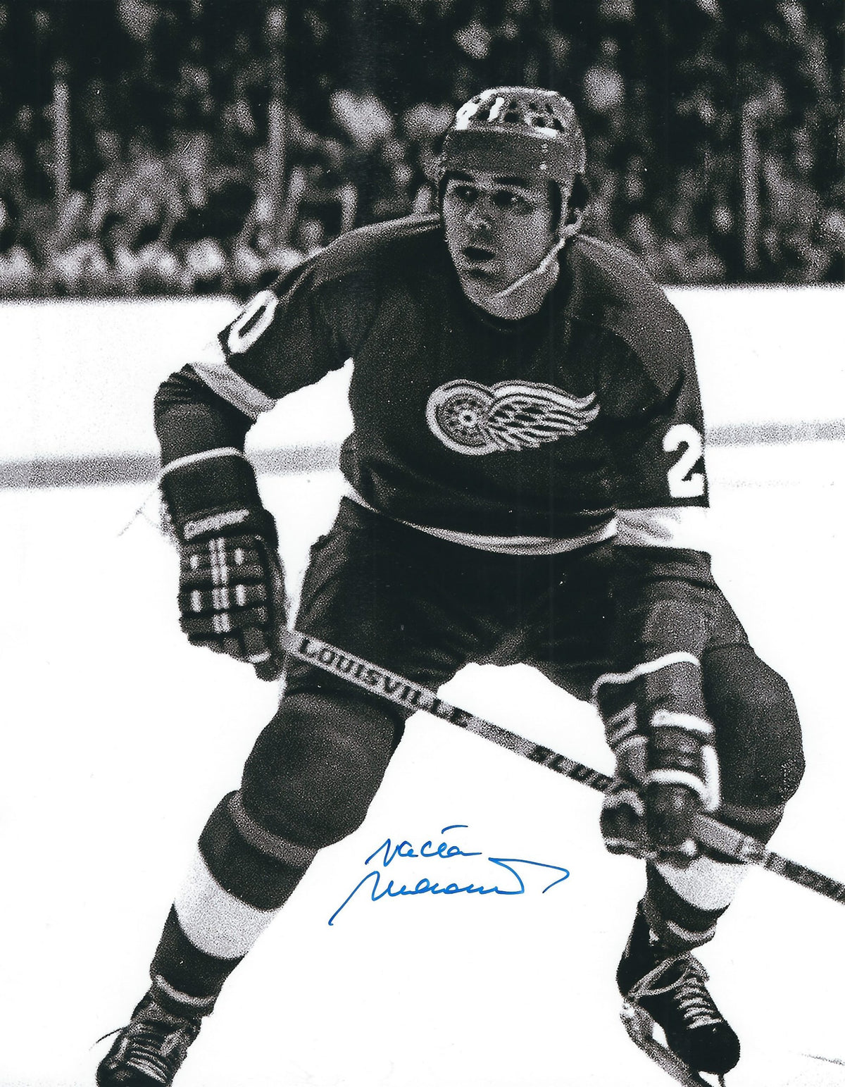 Autographed VACLAV NEDOMANSKY 8X10 Detroit Red Wings Photo