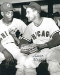 AUTOGRAPHED DAVE HILLMAN 8x10 Chicago Cubs Photo