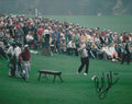 Autographed CRAIG STADLER PGA 8x10 Photo