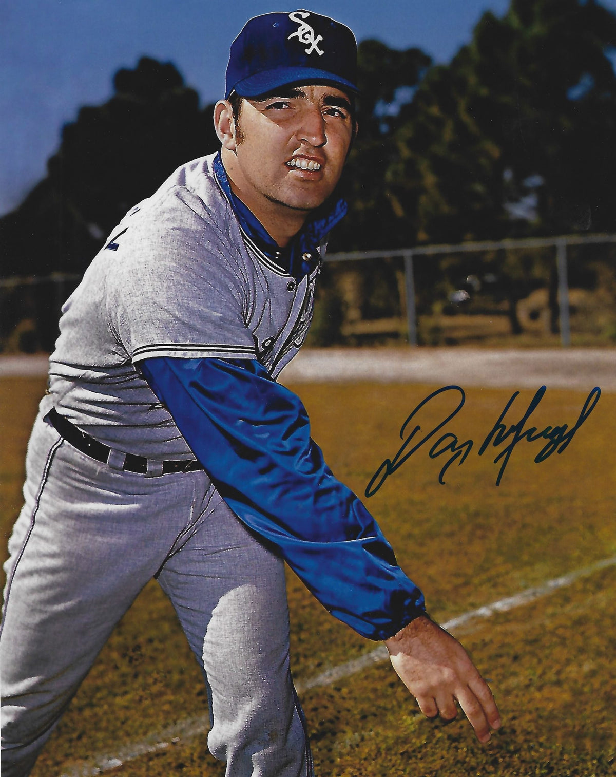 AUTOGRAPHED DANNY MURPHY 8X10 Chicago White Sox Photo