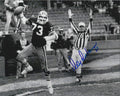 Autographed DOUG DIEKEN 8X10 Cleveland Browns Photo