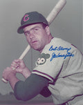 AUTOGRAPHED JOE AMALFITANO 8x10 Chicago Cubs Photo