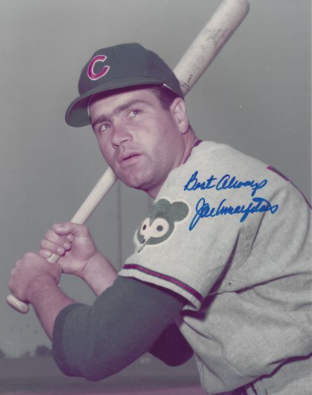 AUTOGRAPHED JOE AMALFITANO 8x10 Chicago Cubs Photo