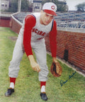 AUTOGRAPHED DAVE SISLER  8x10 Cincinnati Reds Photo
