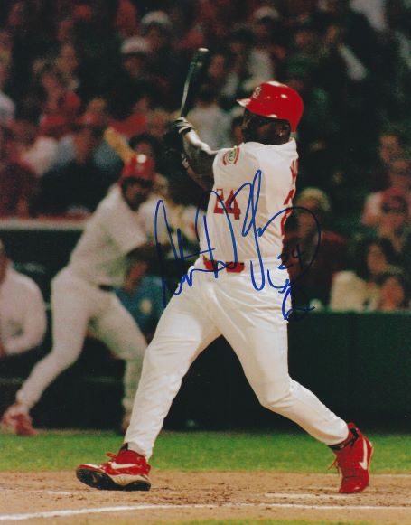 AUTOGRAPHED DMITRI YOUNG  8X10 St. Louis Cardinals photo