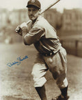 AUTOGRAPHED BUDDY HASSETT 8x10 Brooklyn Dodgers photo
