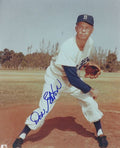 AUTOGRAPHED DON ELSTON 8x10 Brooklyn Dodgers photo