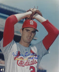 Autographed STEVE CARLTON "HOF 94" 8x10 St. Louis Cardinals Photo