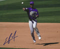 AUTOGRAPHED EZEQUIEL TOVAR 8X10 Colorado Rockies Photo