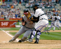 AUTOGRAPHED  VANCE WILSON 8X10 Detroit Tigers Photo