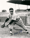 AUTOGRAPHED LUIS ARROYO St. Louis Cardinals photo