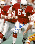 Autographed TOM BANKS 8x10 St. Louis Cardinals Photo