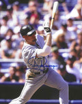 AUTOGRAPHED JAY BUHNER 8x10 Seattle Mariners photo