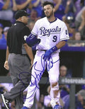 AUTOGRAPHED DREW BUTERA 8X10 Kansas City Royals Photo