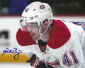Autographed PAUL BYRON 8x10 Montreal Canadiens Photo