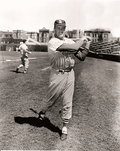 AUTOGRAPHED GINO CIMOLI 8x10 St. Louis Cardinals photo