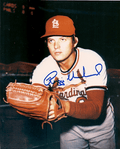 AUTOGRAPHED REGGIE CLEVELAND 8x10 St. Louis Cardinals photo