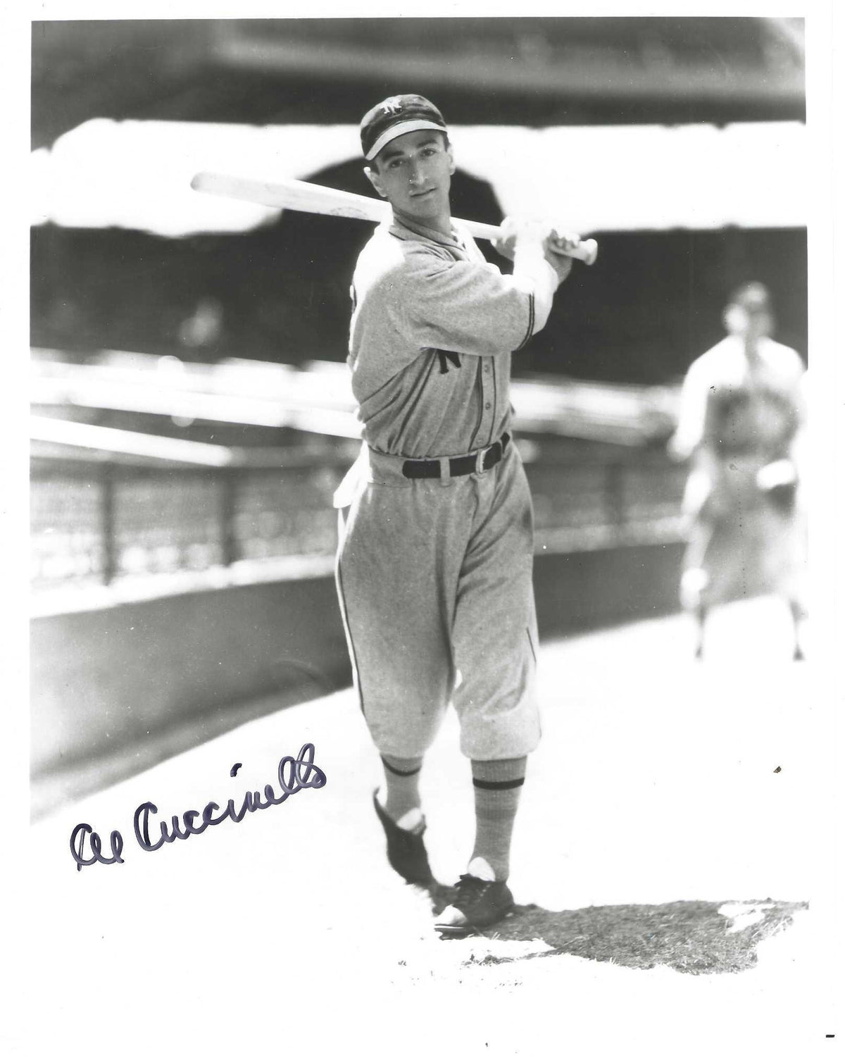AUTOGRAPHED AL CUCCINELLO 8x10 New York Giants photo