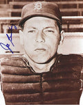 AUTOGRAPHED JOE GINSBERG 8x10 Detroit Tigers Photo