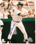 AUTOGRAPHED JOHN GRUBB 8x10  Detroit Tigers Photo