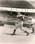 AUTOGRAPHED RAY HAYWORTH 8x10 Brooklyn Dodgers photo