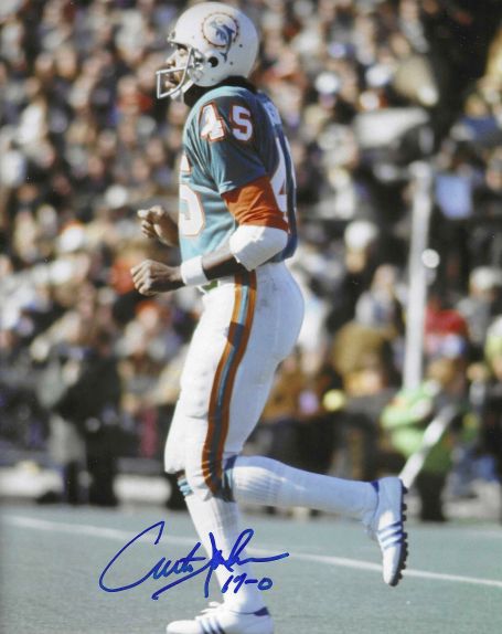 Autographed CURTIS JOHNSON 8X10  Miami Dolphins  photo