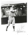 AUTOGRAPHED HAL LEE 8X10 Boston Braves photo