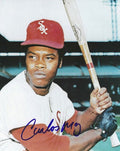 AUTOGRAPHED CARLOS MAY 8X10 Chicago White Sox Photo