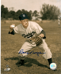 AUTOGRAPHED BOBBY MORGAN 8x10  Brooklyn Dodgers photo