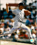 AUTOGRAPHED 8X10 PHOTO  JOE NIEKRO New York Yankees