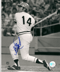 AUTOGRAPHED ED OTT 8x10  Pittsburgh Pirates Photo