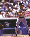 AUTOGRAPHED AL PEDRIQUE 8X10 Pittsburgh Pirates Photo