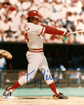 Autographed TONY PEREZ 8x10 Cincinnati Reds  Photo