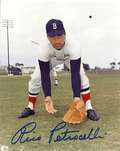 AUTOGRAPHED RICO PETROCELLI 8X10 Boston Red Sox photo