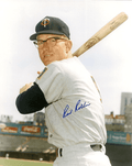 AUTOGRAPHED RICH ROLLINS 8x10 Minnesota Twins photo