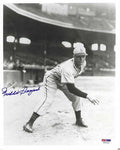 AUTOGRAPHED  FREDDIE SANFORD 8x10  St. Louis Browns Photo PSA/DNA