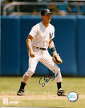 AUTOGRAPHED  photo STEVE SAX  New York Yankees
