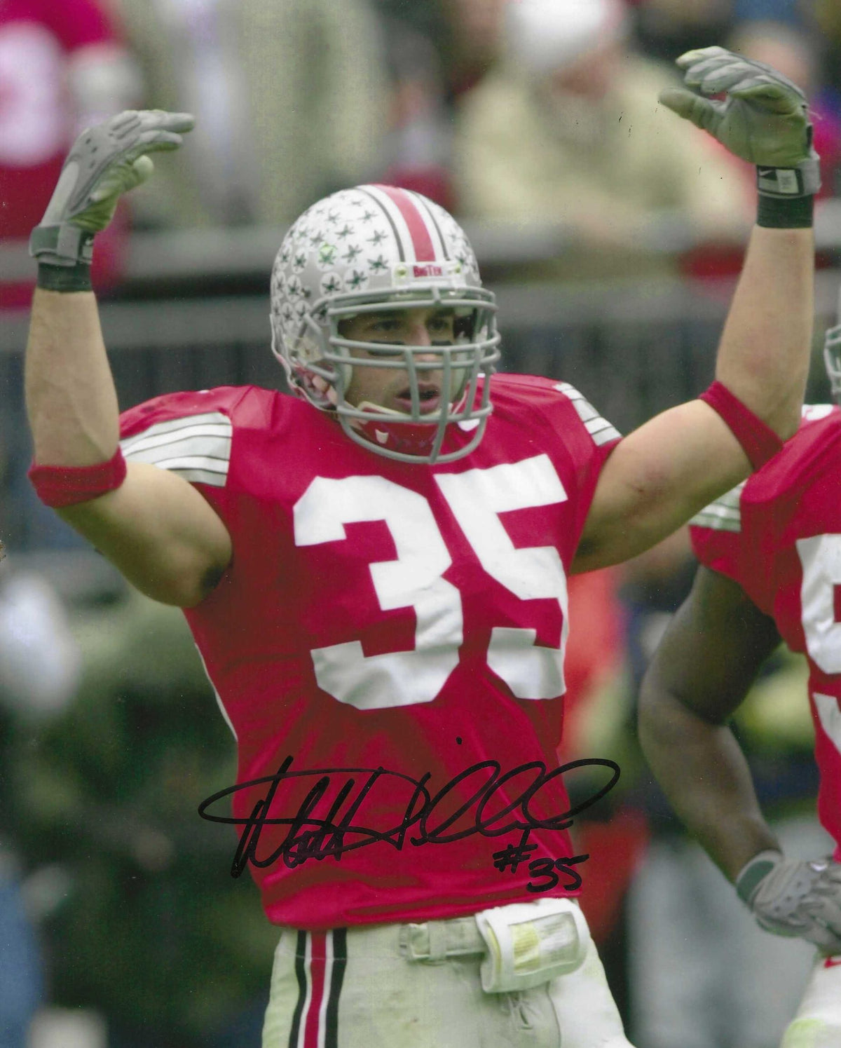 Autographed MATT WILHELM Ohio State Buckeyes 8x10 Photo