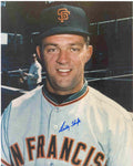 AUTOGRAPHED SIGNED photo BILLY HOEFT SF Giants