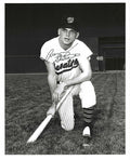 AUTOGRAPHED BARRY SHETRONE 8X10 Washington Senators Photo