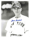 AUTOGRAPHED STEVE SOUCHOCK 8X10 New York Yankees Photo