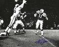 Autographed STEVE SPURRIER  8x10 photo - University of Florida
