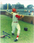AUTOGRAPHED TED SAVAGE 8x10 St. Louis Cardinals Photo