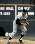 Autgraphed RON TAYLOR 8X10 Houston Astros Photo