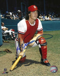 Autographed TED SIMMONS  8x10 St. Louis Cardinals 8X10 photo