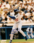 AUTOGRAPHED DEVON WHITE Los Angeles Dodgers photo